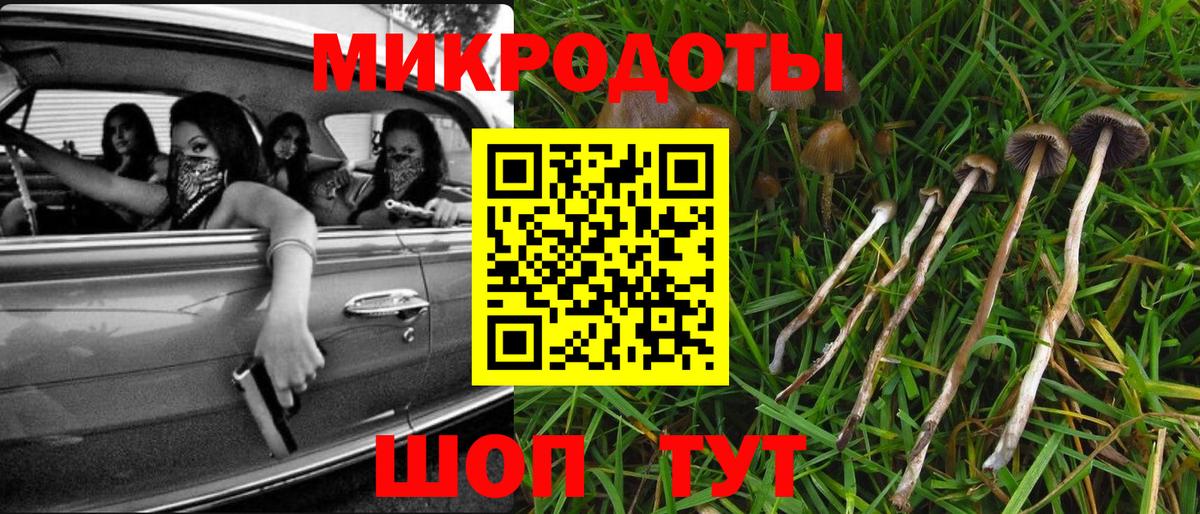 Отрадный  Галлюциногенные грибы Psilocybe  Псилоцибиновые грибы мицелий  магазин  наркотиков  Вход с VPN 